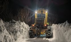 KARAKOÇAN İLÇESİNDE KAR KALINLIĞI BİR METREYİ GEÇTİ