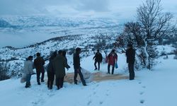 YABAN HAYVANLARI UNUTULMADI