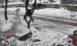 KARDAN ADAMA BİLE TAHAMMÜL KALMAMIŞ