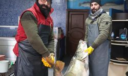 İKİ KİŞİ ZOR TAŞIDI