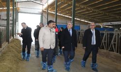 HAYVANCILIK ALTYAPISI YERİNDE İNCELENDİ