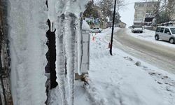 HARPUT'TA DONDURUCU SOĞUKLAR