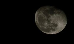 ŞİŞKİN AY MEST ETTİ