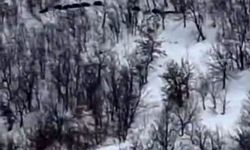 "ORDU GELİYOR" DİYE KAYDA ALDILAR