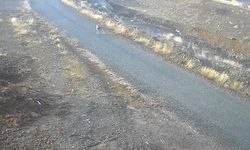 MEZRAYA İNEN KURT GÖRÜNTÜLENDİ