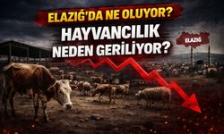 DEV PROJE DENİLDİ ORTADA YOK