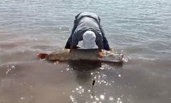 AMATÖR BALIKÇILAR 65 KİLO AĞIRLIĞINDA TURNA BALIĞI YAKALADI