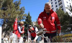 BAYRAM ÖNCESİ, ŞEHİTLİKLER TEMİZLENDİ