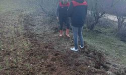 ELAZIĞ'DA TARLA FARESİ SÜRVEY ÇALIŞMASI