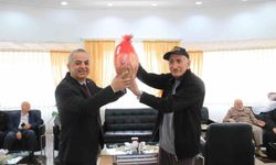 ELAZIĞ'DA TAVLA VE BOCCE ETKİNLİĞİ