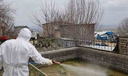 İL ÖZEL İDARESİ LARVA İLAÇLAMA ÇALIŞMASI YAPIYOR