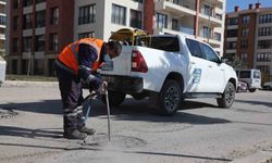 LARVA ÜRETİMİNİN ENGELLENMESİ İÇİN ÇALIŞMALAR SÜRÜYOR