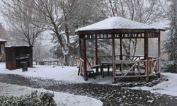 MART AYINDA ELAZIĞ'A KAR SÜRPRİZİ