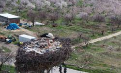SADIK MİSAFİR LEYLEK 10 YILDIR YOLUNU ŞAŞIRMIYOR