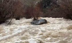 YAĞIŞ SONRASI DERELER COŞTU