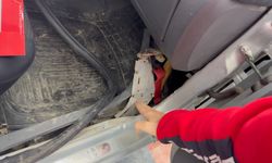 EKSPERTİZ FARK ETTİ