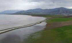 7 YIL ARAYLA AYNI NOKTA