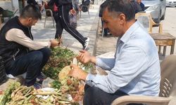 BAHAR OTLARI TEZGAHLARDA