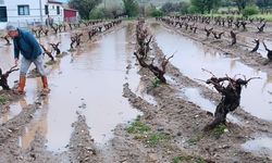 DOLU YAĞIŞI SONRASI HASAR TESPİT ÇALIŞMASI