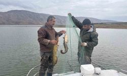 ELAZIĞ'DA SU ÜRÜNLERİ ARAŞTIRMA ÇALIŞMALARI SÜRÜYOR