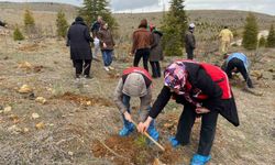 FİDAN DİKİM ETKİNLİĞİ DÜZENLENDİ