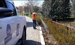 HAŞEREYLE MÜCADELE SÜRÜYOR