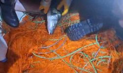 KAÇAK AVCILARA AİT 300 METRELİK AĞ ELE GEÇİRİLDİ