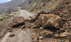 KARAKOÇAN'DA TOPRAK KAYMASI