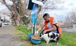 SOKAK HAYVANLARINA MAMA DESTEĞİ SÜRÜYOR