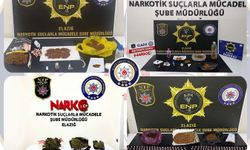 ZEHİR OPERASYONUNDA 30 TUTUKLAMA