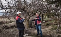 ZİRAİ DON MESAİSİ