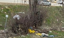 SİVRİCE’DE ÇÖP KRİZİ BÜYÜYOR
