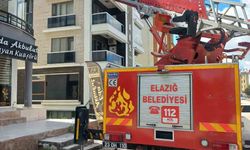 CAM ARASINA SIKIŞAN GÜVERCİN KURTARILDI