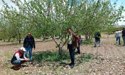 DOLU SONRASI HASAR TESPİTİ YAPILDI