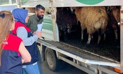 KURBAN BAYRAMI ÖNCESİNDE DENETİMLER DEVAM EDİYOR