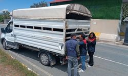 KURBAN BAYRAMI ÖNCESİNDE SIKI DENETİM