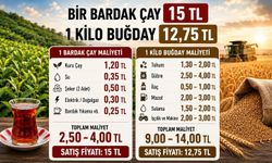 BUĞDAYIN DEĞERİ BİR BARDAK ÇAYA DÜŞTÜ