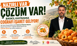 BASKİL KAYISISI İÇİN TARİHİ HAMLE