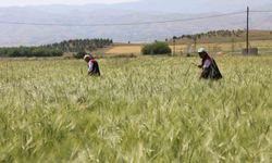 ÇALIŞMALAR SAHADA DEĞERLENDİRİLDİ