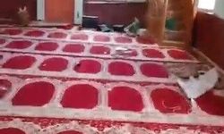 TAHRİP EDİLEN CAMİ BELEDİYE EKİPLERİNCE TEMİZLENDİ