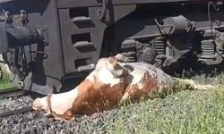 TREN YOLUNDA ÜZÜCÜ KAZA