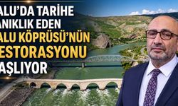 TARİHİ PALU KÖPRÜSÜ RESUERASYON İHALESİ YAPILDI
