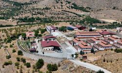 15 BİN SOKAK HAYVANI TEDAVİ EDİLDİ