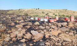 ARAZİ YANGININDA ARI KOVANLARI ZARAR GÖRDÜ