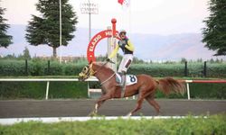 NESİB KAZANDI