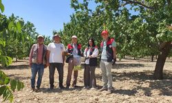 ÜRETİM ALANLARINDA DENETİM