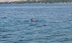 ELAZIĞ'DAN MALATYA'YA YÜZEREK GEÇTİ