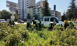 KENT GENELİNDE ÇALIŞMALAR SÜRÜYOR