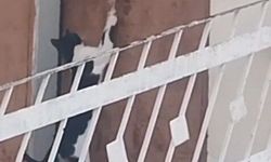 EVİN KAPISINI AÇARAK İÇERİ GİRDİ