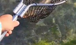 AMATÖR BALIKÇIDAN ÖRNEK DAVRANIŞ
